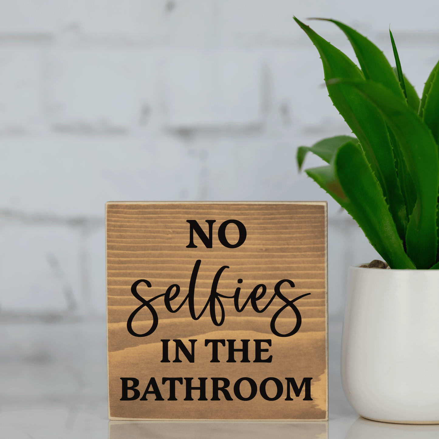 no selfies in the bathroom ~ wood sign block