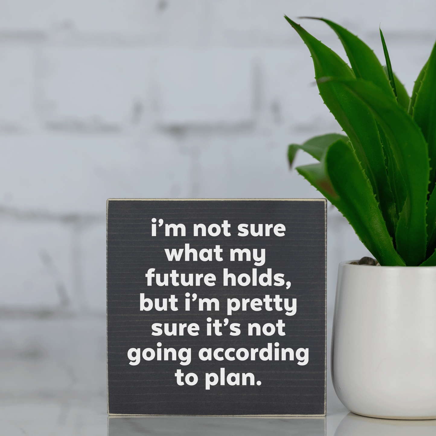 i'm not sure what my future holds, but i'm pretty sure its not going according to plan ~ wood sign