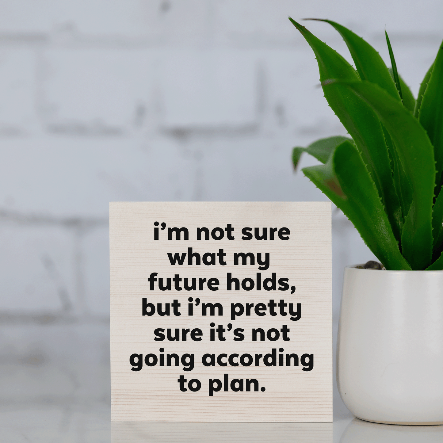 i'm not sure what my future holds, but i'm pretty sure its not going according to plan ~ wood sign
