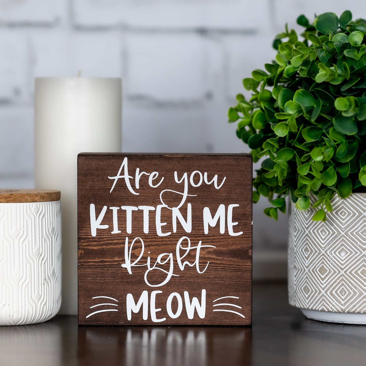 are you kitten me right meow ~ cat sign