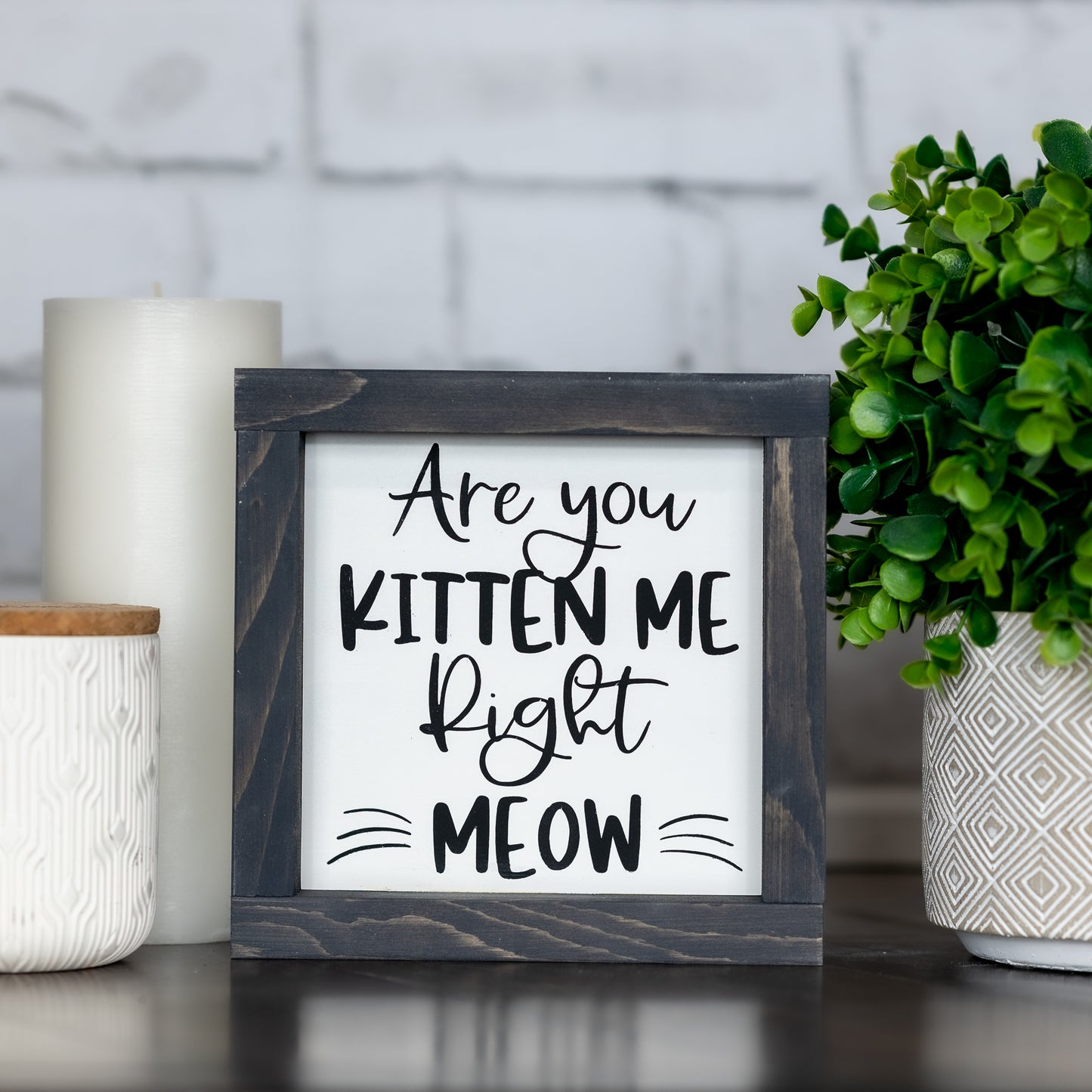 are you kitten me right meow ~ wood sign
