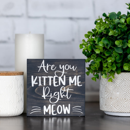 are you kitten me right meow ~ cat sign